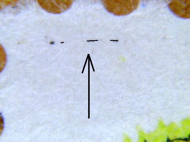 Missing - Chybi